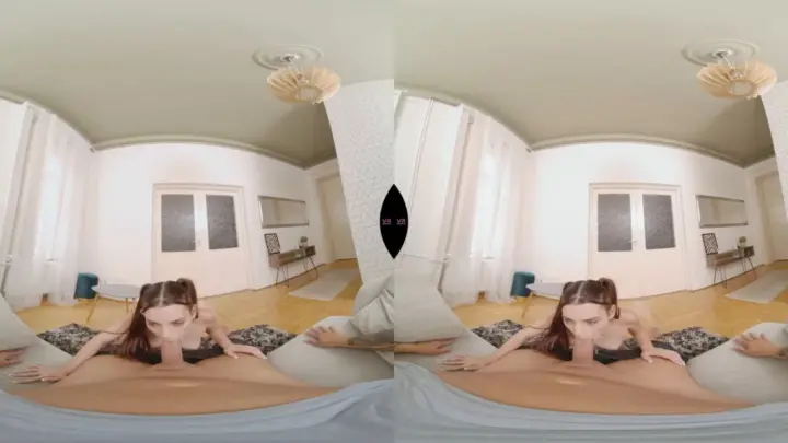 Pocket Pussy Rides Your Dick – Smartphone VR